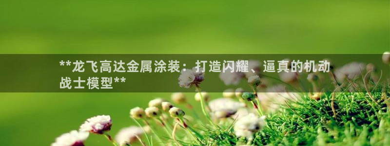 美高梅在澳门有几家分公司