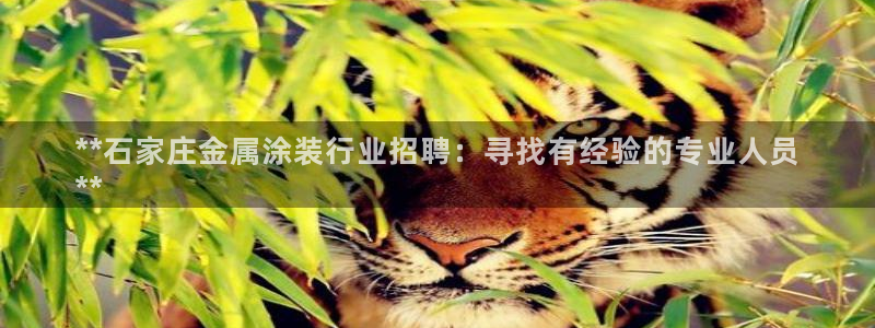 美高梅是谁的产业