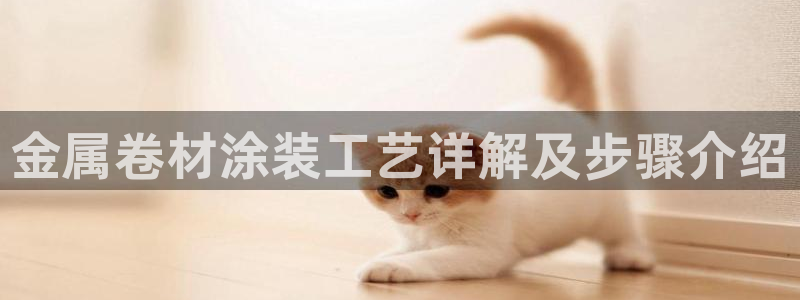 美高梅股票代码02282最近行情怎么样