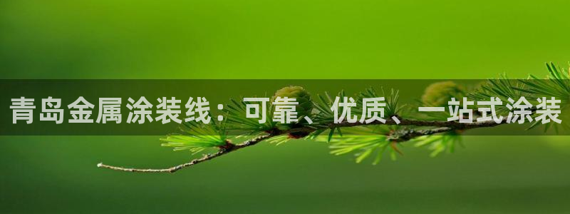 美高梅哪个集团的