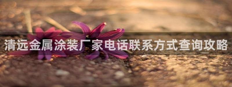 美狮美高梅酒店港澳快线