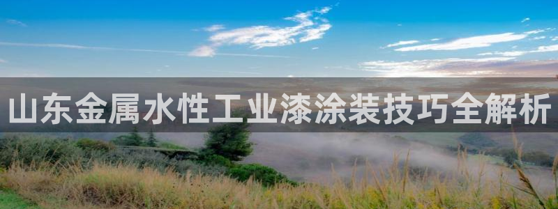 美高梅公司怎么样