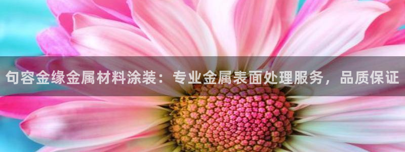 美高梅是谁的公司