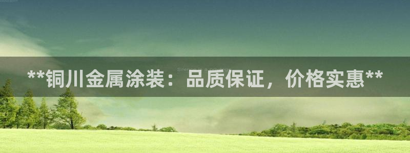 美高梅的老板