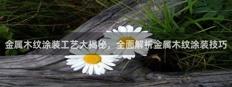 鲁能钓鱼台美高梅loft