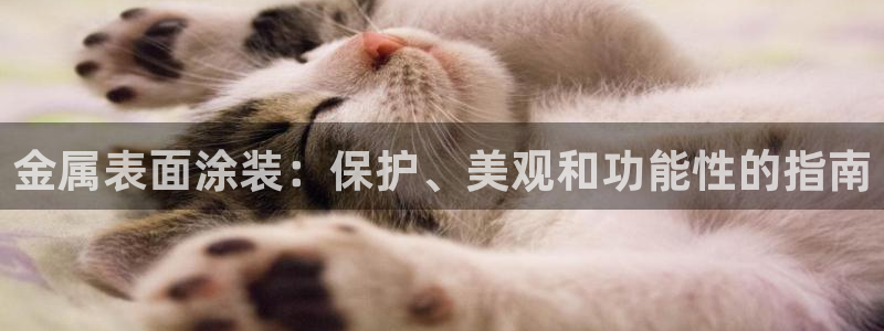 美高梅一千万筹码