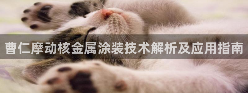 美高梅大酒店拉斯维加斯
