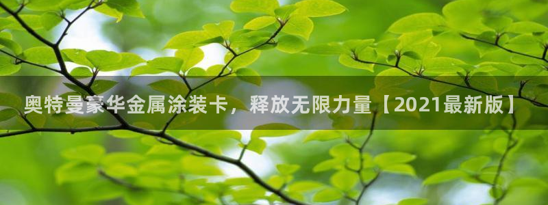 美高梅会员卡怎么办理的