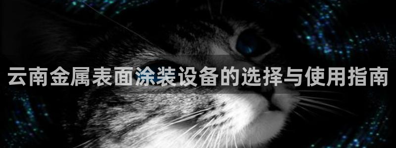 美高梅酒店中国店位置