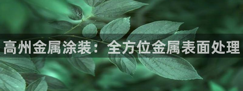 美狮美高梅酒店面对面