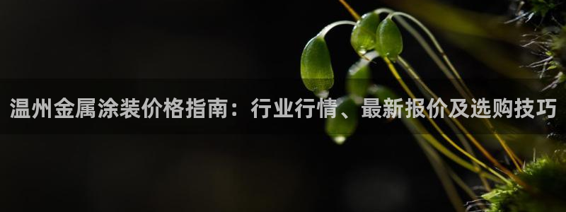 中国美高梅酒店有几家