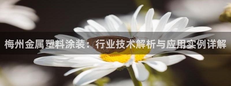 美高梅客服微信