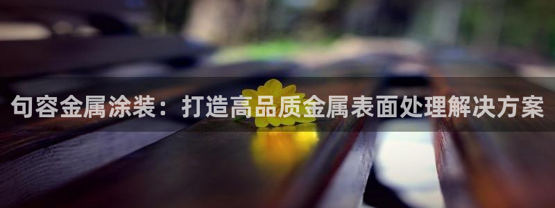美高梅国际酒店集团介绍