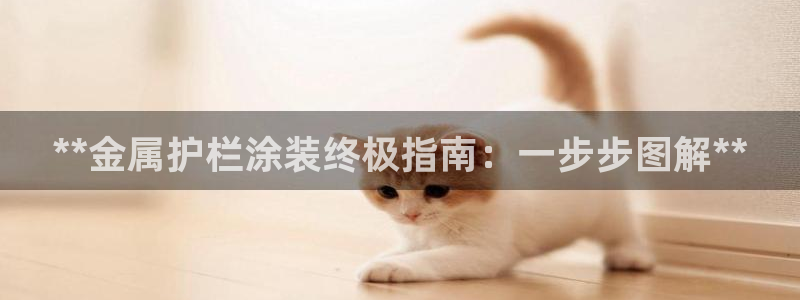 为什么我的美高梅网页上不了
