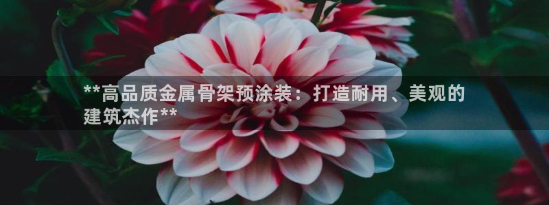 美高梅何超琼持股多少