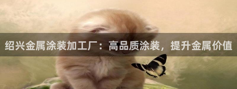 美狮美高梅酒店高度