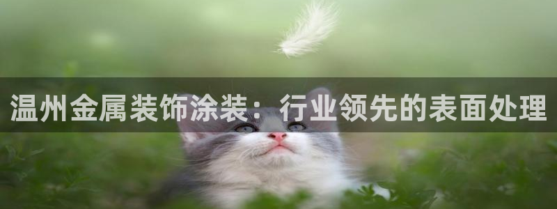 美狮美高梅酒店积分