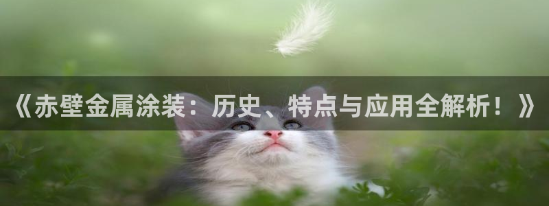 美高梅属于哪个公司