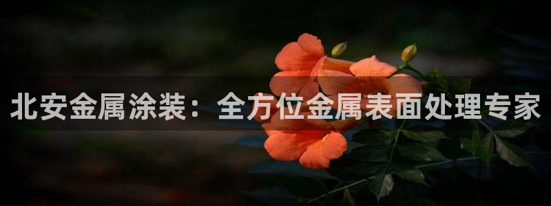 美高梅酒店可以带走的东西