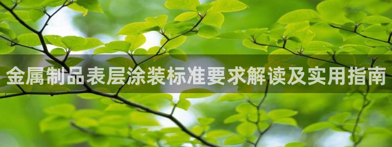 美高梅去大三巴