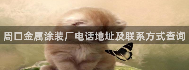 美狮美高梅酒店何超