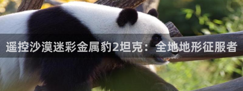 美高梅和米高梅是什么关系