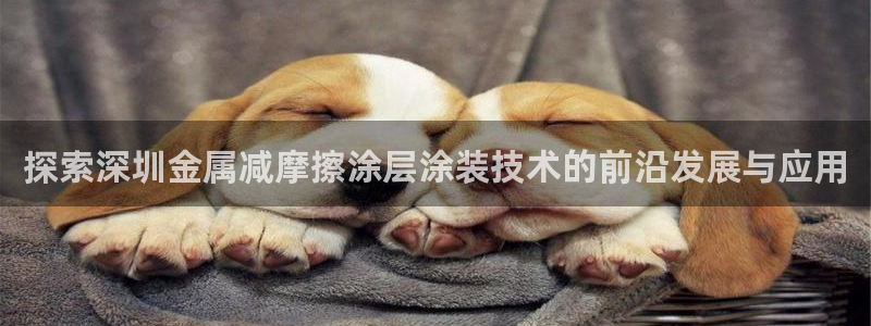 美狮美高梅酒店有什么品牌专卖店