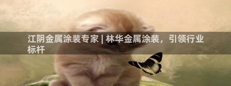 美高梅空中海洋秀时间
