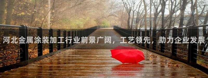 美高梅黑我钱怎么办：河北金属涂装加工行业