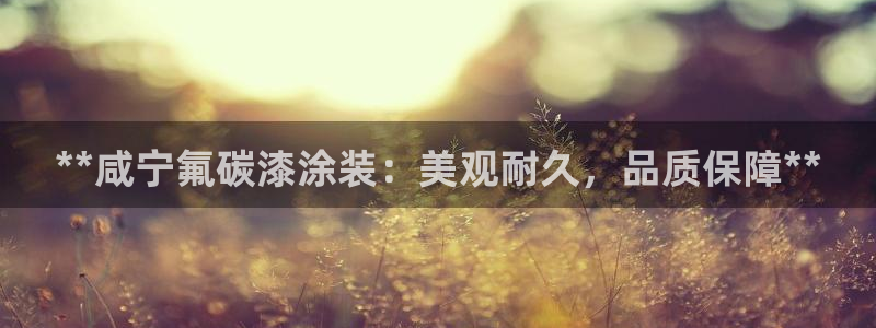 美高梅充值多少钱能提现到微信