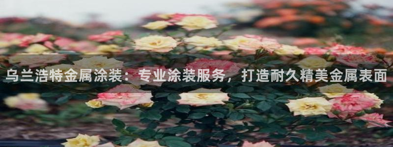 美高梅客户服务中心