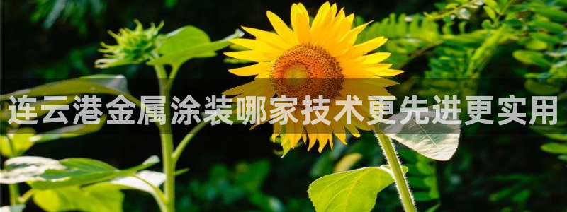 美狮美高梅酒店是几星
