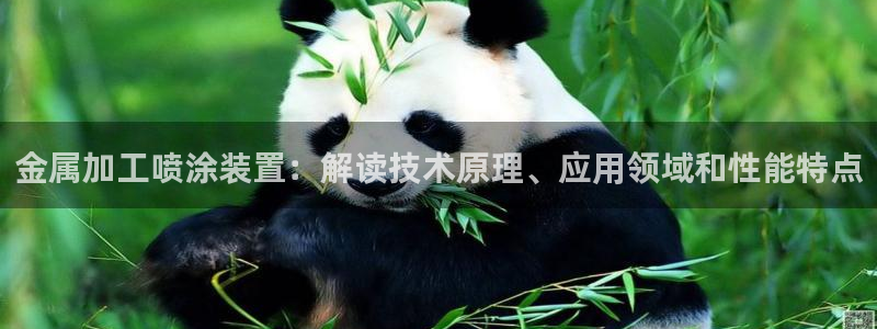 美高梅酒店香味