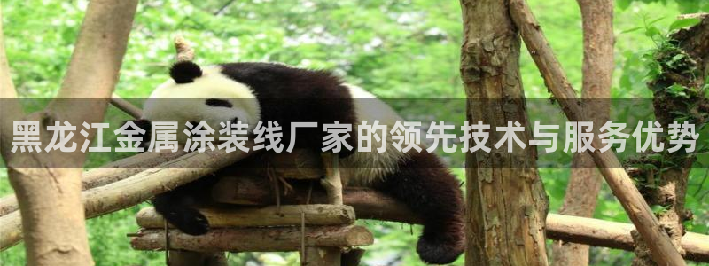 美狮美高梅 早餐