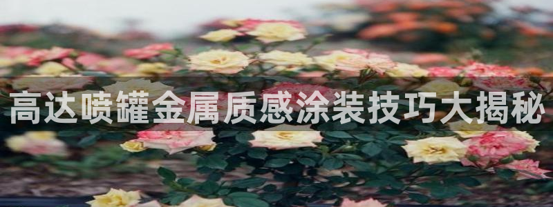 美狮美高梅酒店在哪