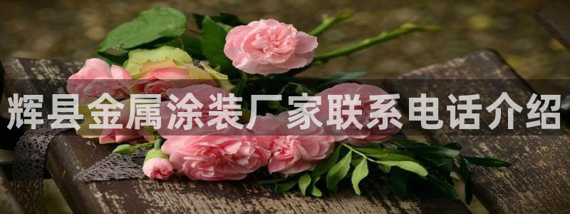美高梅筹码颜色对应面值：辉县金属涂装厂家