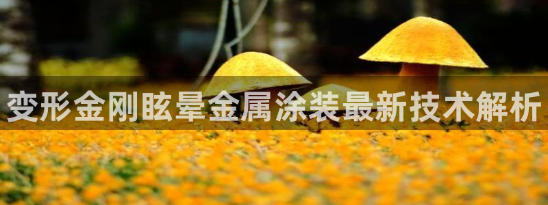 美高梅游戏网