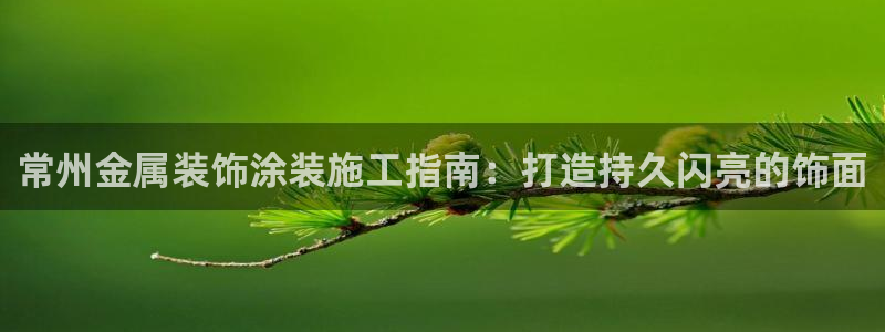 美高梅公司市值多少亿：常州金属装饰涂装施